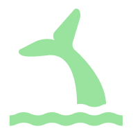 Whale Tail